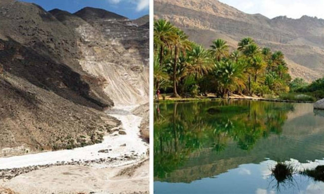 Η απίθανη όαση του Ομάν που «γεννιέται» στο πουθενά και «ζει» μόνο τρεις μήνες το χρόνο