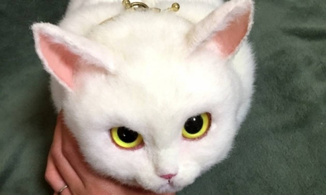 Δεν είναι γάτα, είναι τσάντα (photos)