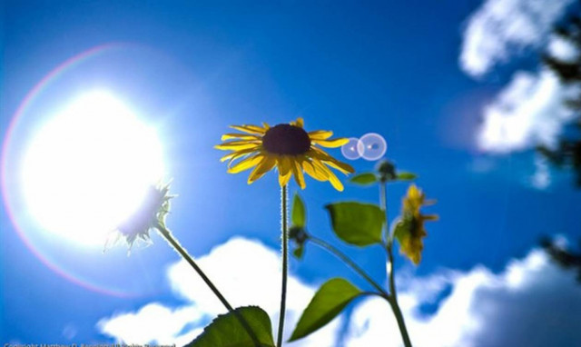 Καιρός: Ανοιξιάτικο το σκηνικό του καιρού – Στους 26 βαθμούς η θερμοκρασία