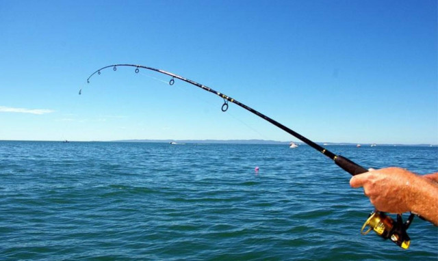 Δείτε την ψαριά που άφησε άφωνη… την Πρέβεζα (photo)