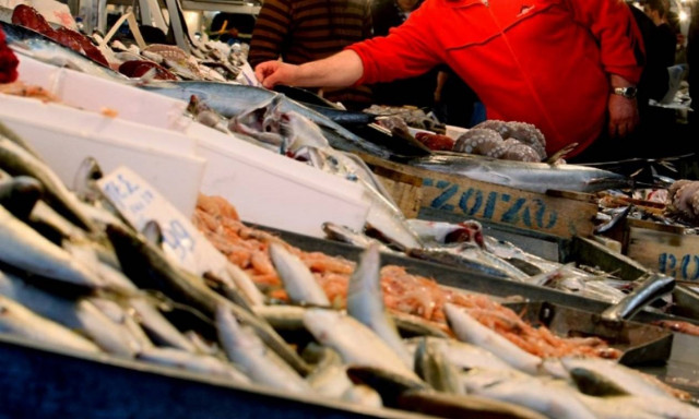 Οι Γερμανοί αγαπούν το ελληνικό λαβράκι!