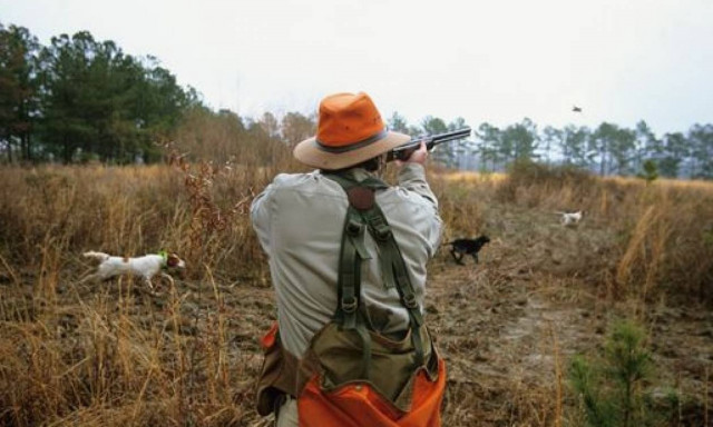 Νορβηγός κυνηγός σκότωσε δύο άλκες με μία σφαίρα! Σε ζωολογικό κήπο...
