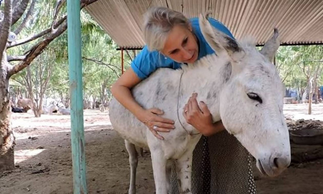 Γιατί υπάρχουν «άνθρωποι» και άνθρωποι - Η ιστορία του Λανς του γαϊδάρου (video)