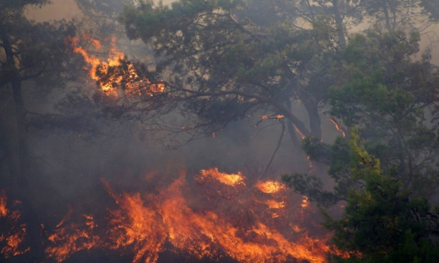 Πήρε πίσω ο Σκουρλέτης την «ύποπτη» διάταξη για τα αναδασωτέα δάση