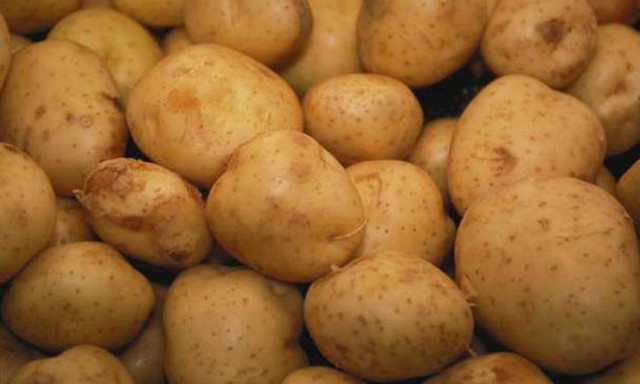 Δανία: Έπνιξε τον αδερφό του με πατάτες