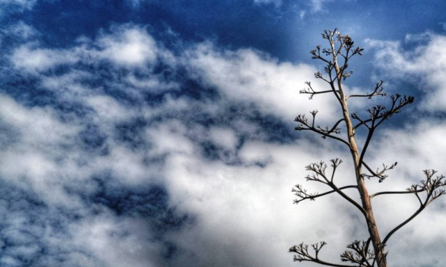 Καιρός: Καλοκαιρία το Σαββατοκύριακο με πτώση της θερμοκρασίας