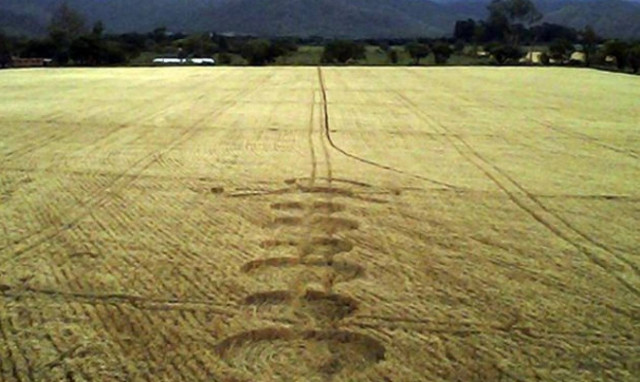 Μυστηριώδη σχήματα σε καλλιέργειες αναστατώνουν τους κατοίκους της Αργεντινής (pics+vid)