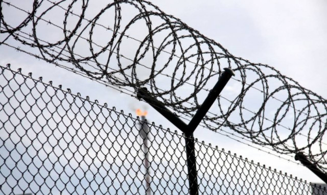 Πυρήνες της Φωτιάς: Φαιδρότητες τα όσα λέει ο Πανούσης