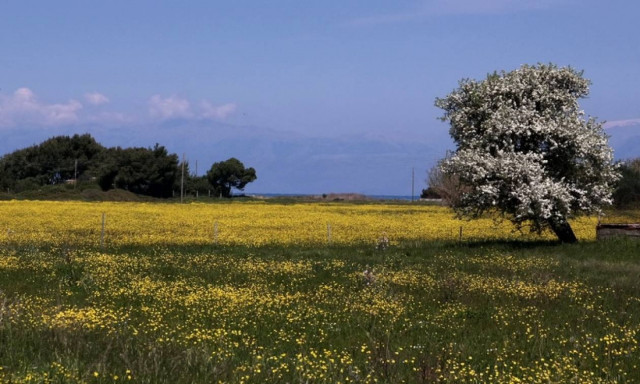 Με λιακάδα σε όλη τη χώρα και μικρή άνοδο της θερμοκρασίας ο καιρός της Δευτέρας (pics)