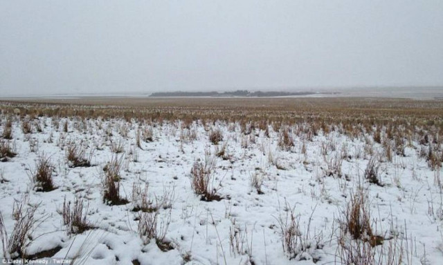 Εσύ μπορείς να εντοπίσεις τα πρόβατα στη φωτογραφία;