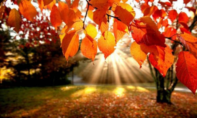 Καιρός: Καλοκαιρίας συνέχεια την Παρασκευή (13/11) - Αναλυτική πρόγνωση