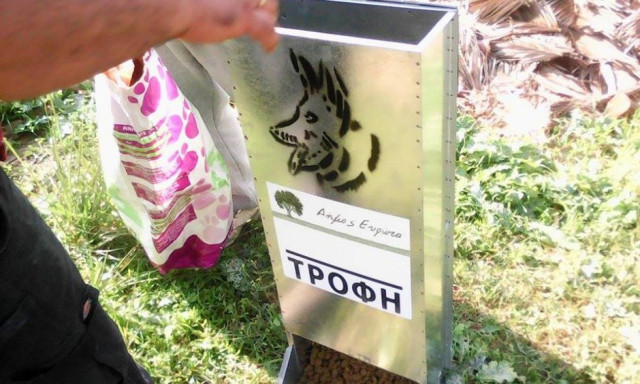 Ο Δήμος Ευρώτα τοποθέτησε ειδικά συστήματα τροφής και νερού για αδέσποτα