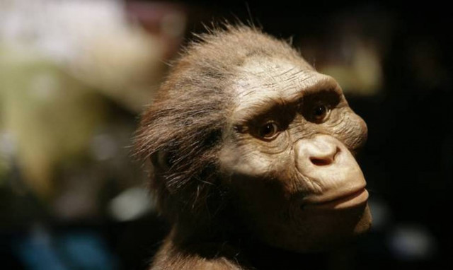 Αυστραλοπίθηκος Λούσι: Η Google τιμάει με doodle τα 41 χρόνια από την ανακάλυψή της (vids+pics)