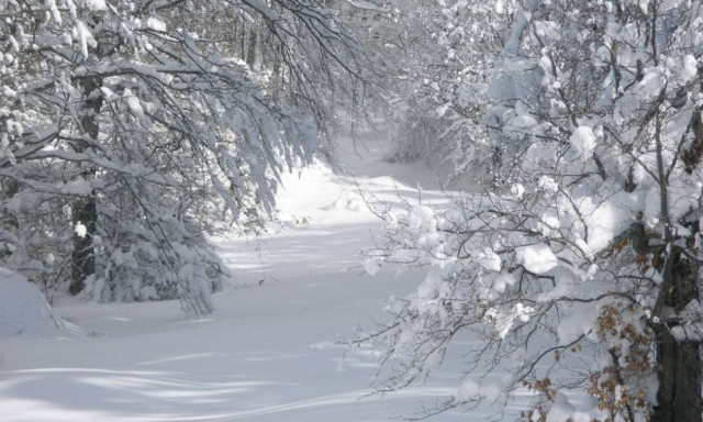 Καιρός: Έρχονται χιόνια την Πέμπτη