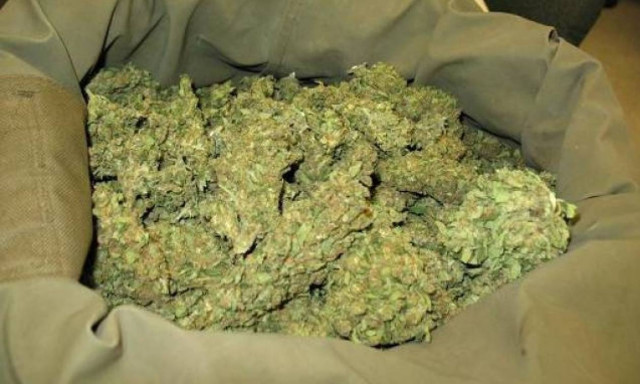 Συνελήφθη έμπορος ναρκωτικών – Εισήγαγε στην Ελλάδα πάνω από 31 κιλά κάνναβης