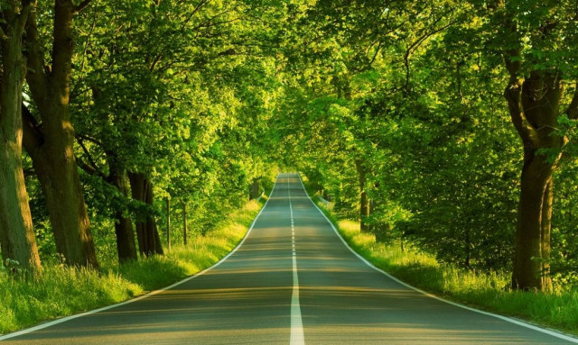 Η επαφή με τη Φύση μειώνει την εγκληματικότητα