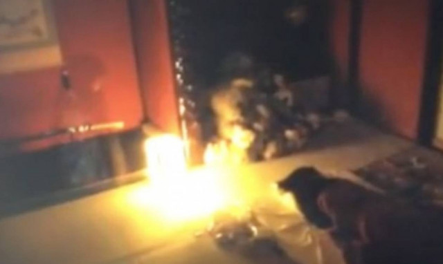 Αν δείτε και εσείς αυτό το φάντασμα είστε πολύ… τυχεροί! (video)