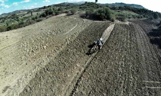 ΟΠΕΚΕΠΕ: Αναρτήθηκαν οι πίνακες με τα δικαιώματα για τις επιδοτήσεις - Δείτε τα ποσά που θα λάβετε