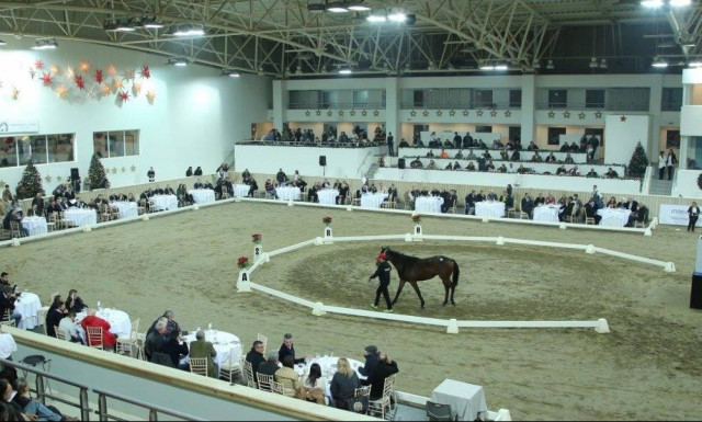 Κάλπασε η δημοπρασία καθαρόαιμων στο Μαρκόπουλο