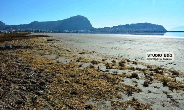 Εντυπωσιακές εικόνες: «Εξαφανίστηκε» η θάλασσα στο Ναύπλιο (vid)