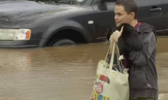 Ποιος είπε πως οι γάτες φοβούνται το νερό;
