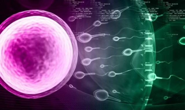 Οι κακές συνήθειες του άντρα είναι γραμμένες στο… σπέρμα του