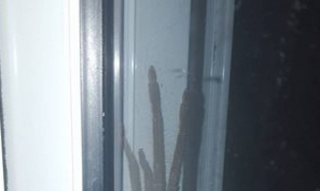 Τρόμος στην Αυστραλία: Εισέβαλε σπίτι του η μεγαλύτερη και πιο τρομακτική αράχνη του κόσμου (photo)