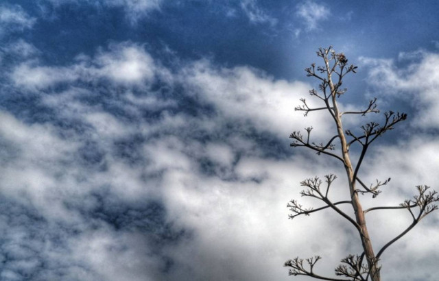 Ο καιρός «αναβάλλει» τα Χριστούγεννα! Έρχεται άνοδος της θερμοκρασίας