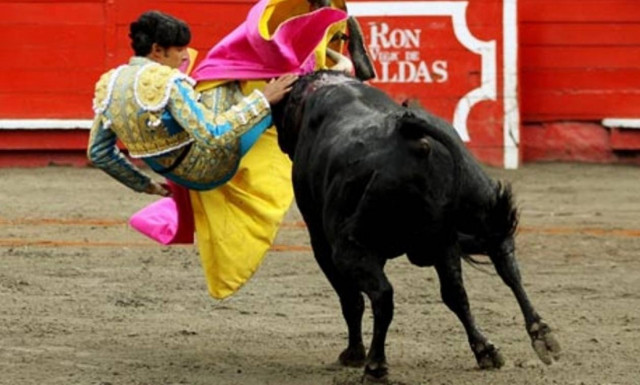 Μεξικό: Μαινόμενος ταύρος τον κάρφωσε στην καρδιά! (video)