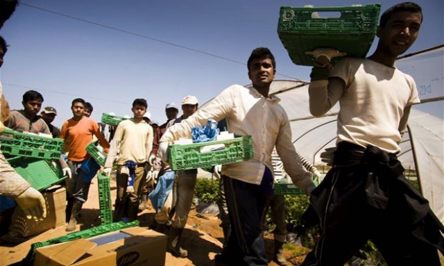 «Μανωλάδα» Ισπανίας: Είχαν μετατρέψει πρόσφυγες σε σύγχρονους σκλάβους σε θερμοκήπια
