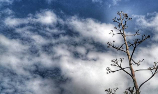 Ήλιος με τσουχτερό κρύο σήμερα – Τι καιρό θα κάνει τα Χριστούγεννα