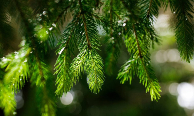 Καιρός για… βόλτες κάτω από τον ήλιο! Δείτε πού θα φθάσει ο υδράργυρος τα Χριστούγεννα