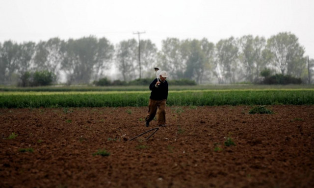 ΟΠΕΚΕΠΕ: Εντός της εβδομάδας οι πληρωμές των «παλαιών» επιδοτήσεων