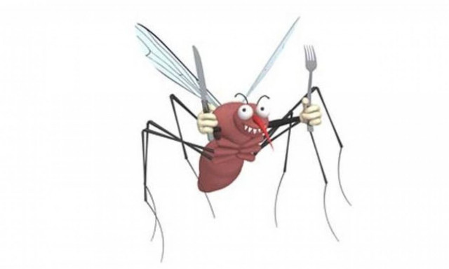 Το ξέρατε; Γιατί μας τσιμπούν τα κουνούπια;