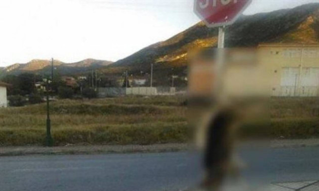 Φρίκη στη Χαλκιδική: Σκότωσε και κρέμασε σκύλο σε πινακίδα