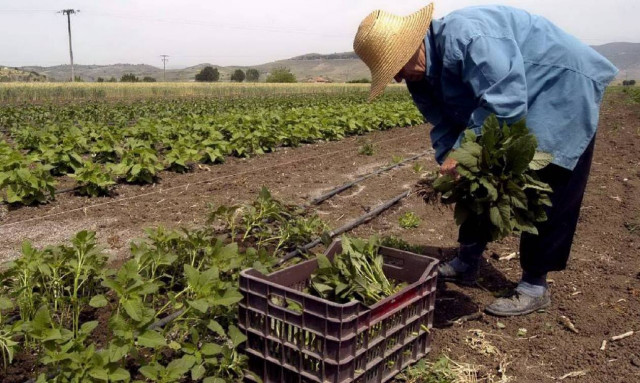 Νέο πρόγραμμα για αγρότες και κτηνοτρόφους: Μοιράζονται 20 δισ. ευρώ