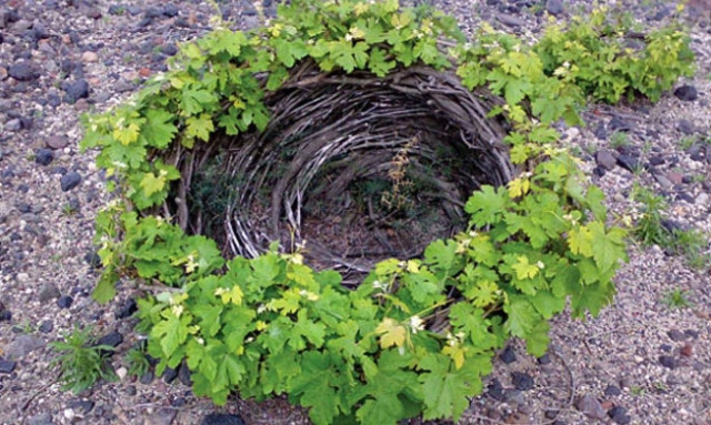 Σαντορίνη: Στην κορυφή των οινικών προορισμών για το 2016