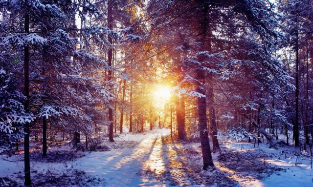 Καιρός: Χριστούγεννα με κοντομάνικα… πρωτοχρονιά με χιόνια!