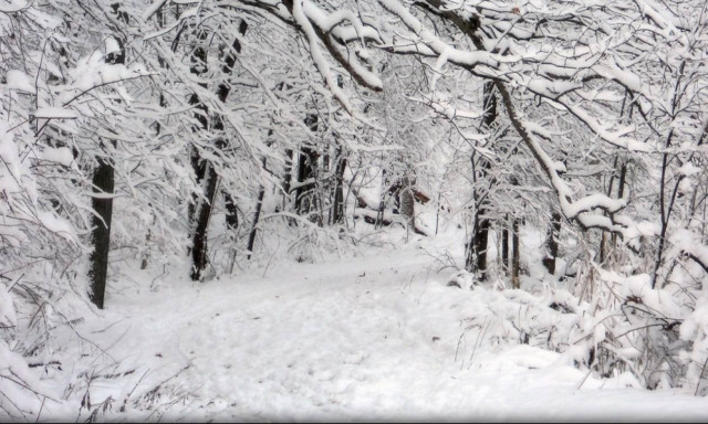 Έρχεται πολικό ψύχος – Θα χιονίσει και στο κέντρο της Αθήνας