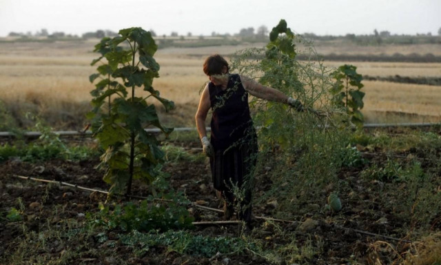 ΟΓΑ: Σήμερα (29/12) η καταβολή του επιδόματος στις πολύτεκνες ασφαλισμένες