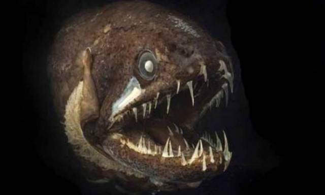 Τα πιο τρομακτικά προϊστορικά τέρατα! Αντέχετε να τα δείτε; (video)