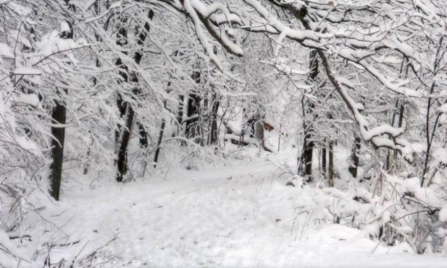 Ετοιμαστείτε για πολικό ψύχος! Δείτε τις πόλεις που θα «χτυπήσει» ο χιονιάς την Τετάρτη