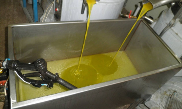 Κλέφτες «ρήμαξαν» ελαιοτριβεία στην Αιγιαλεία  - Περισσότεροι από 4,5 τόνοι η «λεία» τους