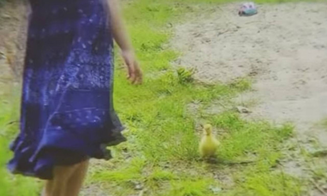 Η απρόσμενη φιλία που κλέβει καρδιές (video)