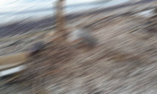 Σκληρές εικόνες σε παραλία της Πάτρας