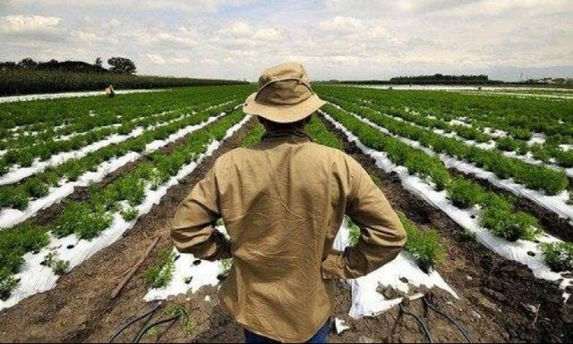 Τι θα πληρώσουν σε εισφορές οι αγρότες