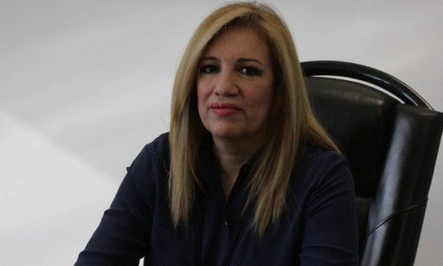 Κάλεσμα για δημιουργία νέας παράταξης απηύθυνε η Φώφη Γεννηματά