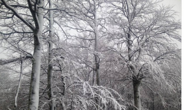 Κακοκαιρία: Δείτε σε ποιες περιοχές χιονίζει