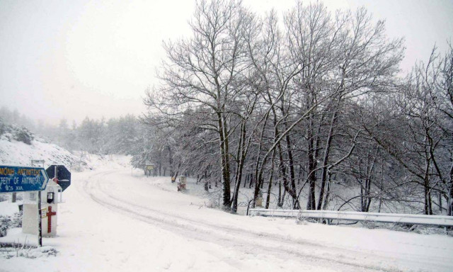 Καιρός: Δείτε τι θερμοκρασία έχει αυτή τη στιγμή στην περιοχή σας!