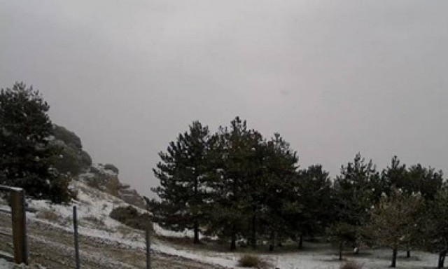Καιρός: Δείτε Live - Το «στρώνει» στην Αράχωβα